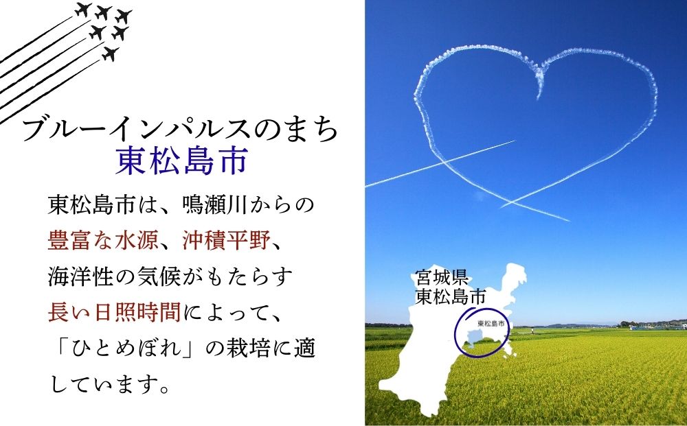 【 令和7年産】【新米】 ひとめぼれ 玄米 20kg × 1袋 宮城県