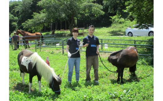 馬のお世話体験とふれあい乗馬【キッズ】