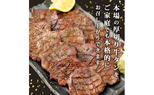 熟成厚切り牛タン 500g 塩味 急速 冷凍 タン元 タン中 牛肉 