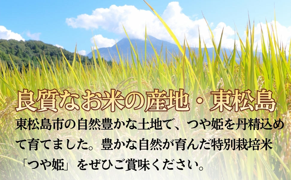 【 令和7年産】【数量限定】【新米】 つや姫 精米 5kg × 1袋 