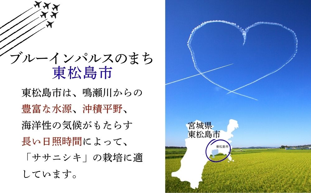 【 令和7年産】【新米】ササニシキ 玄米 20kg × 1袋 宮城県産