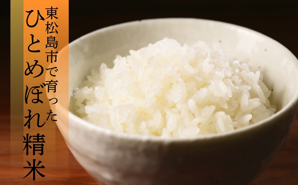 【 令和7年産】【新米】 ひとめぼれ 精米 10kg × 1袋 宮城県