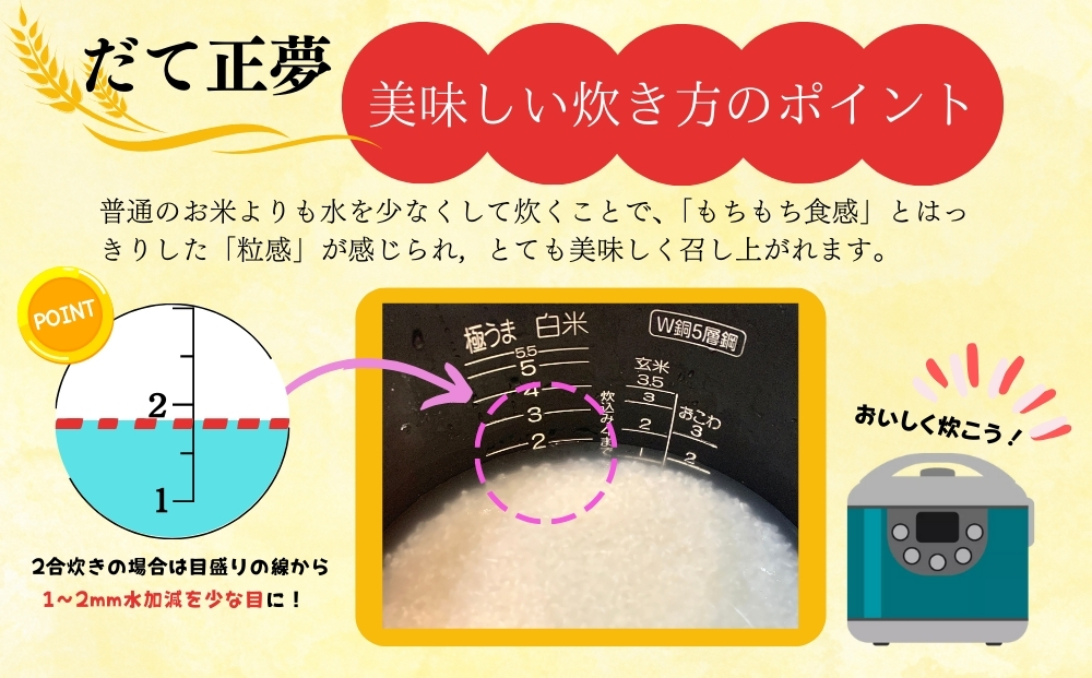 【令和6年産 】 【新米】 だて正夢（精米） 合計12kg 全4回 