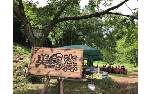 海での乗馬体験 ～ 初心者向け ～ オーシャンライディング 