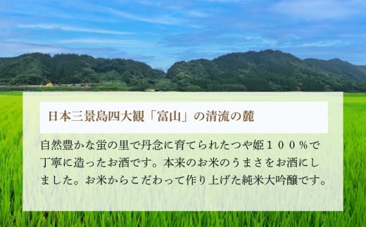 純米大吟醸 「 白銀の天酒 」合計2本セット 720ml × 2本 お酒 