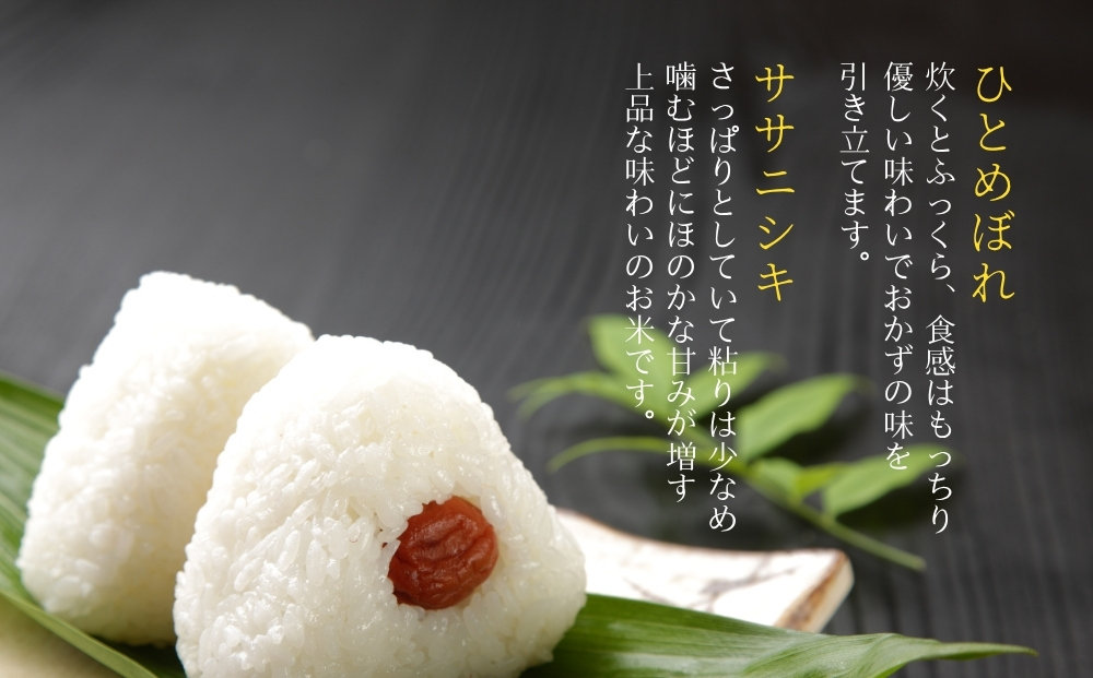 【令和7年産米先行予約】【栽培期間中化学肥料・農薬使用