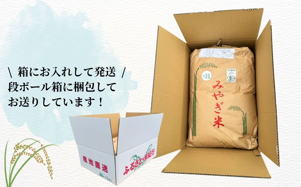 【令和7年産米先行予約】【栽培期間中化学肥料・農薬不使