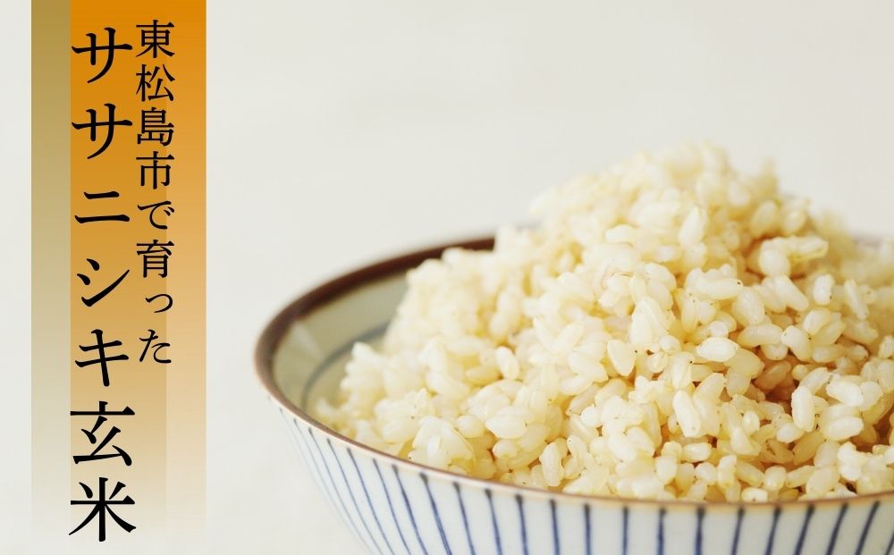【 令和7年産】【新米】ササニシキ 玄米 20kg × 1袋 宮城県産