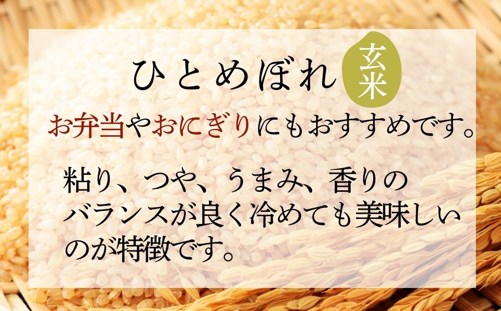 【 令和7年産】【新米】 ひとめぼれ 玄米 20kg × 1袋 宮城県