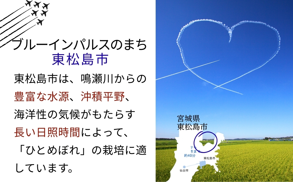 【 令和7年産】 ひとめぼれ 玄米 30kg × 1袋 単一原料米 ヒト