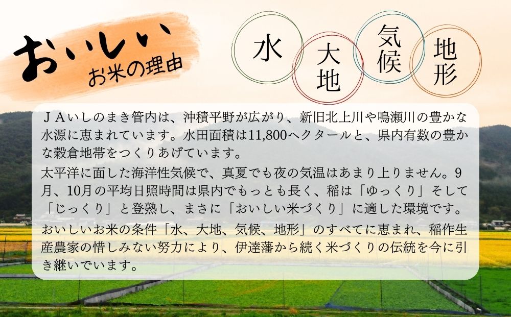 【令和6年産 】 【新米】 だて正夢（精米） 合計6kg 全2回 （