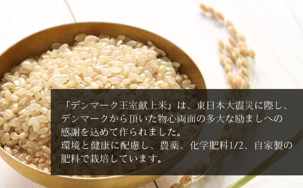 【令和7年産米先行予約】【栽培期間中化学肥料・農薬使用