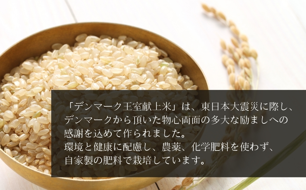 【令和7年産米先行予約】【栽培期間中化学肥料・農薬不使