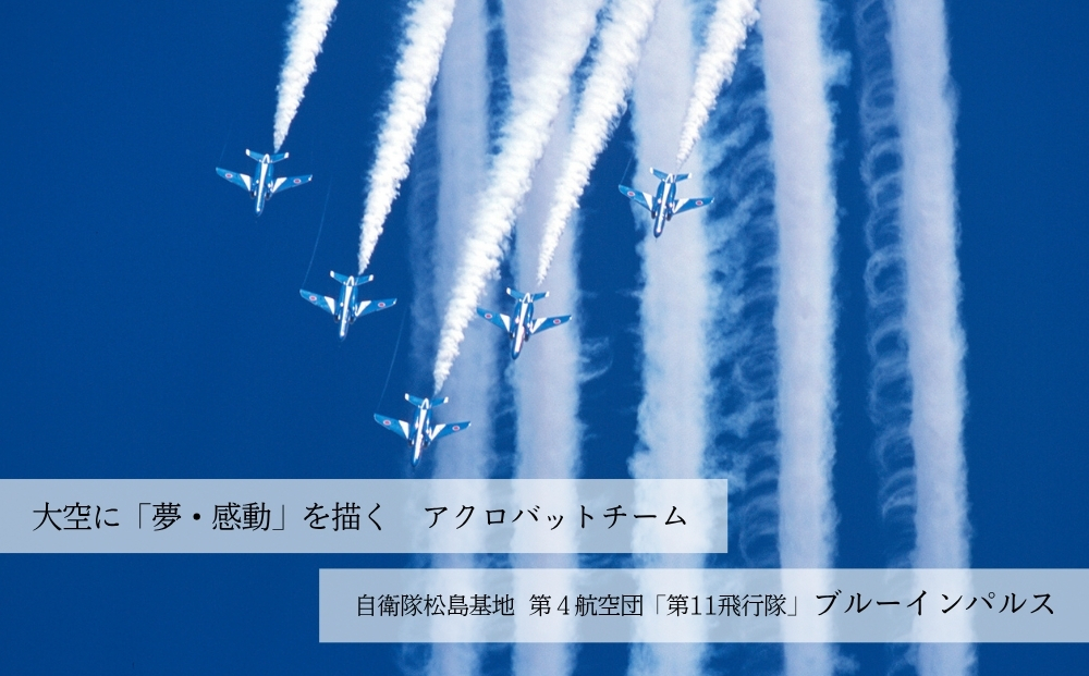 自衛隊 ブルーインパルス ベアーキーホルダー くま ヘルメ