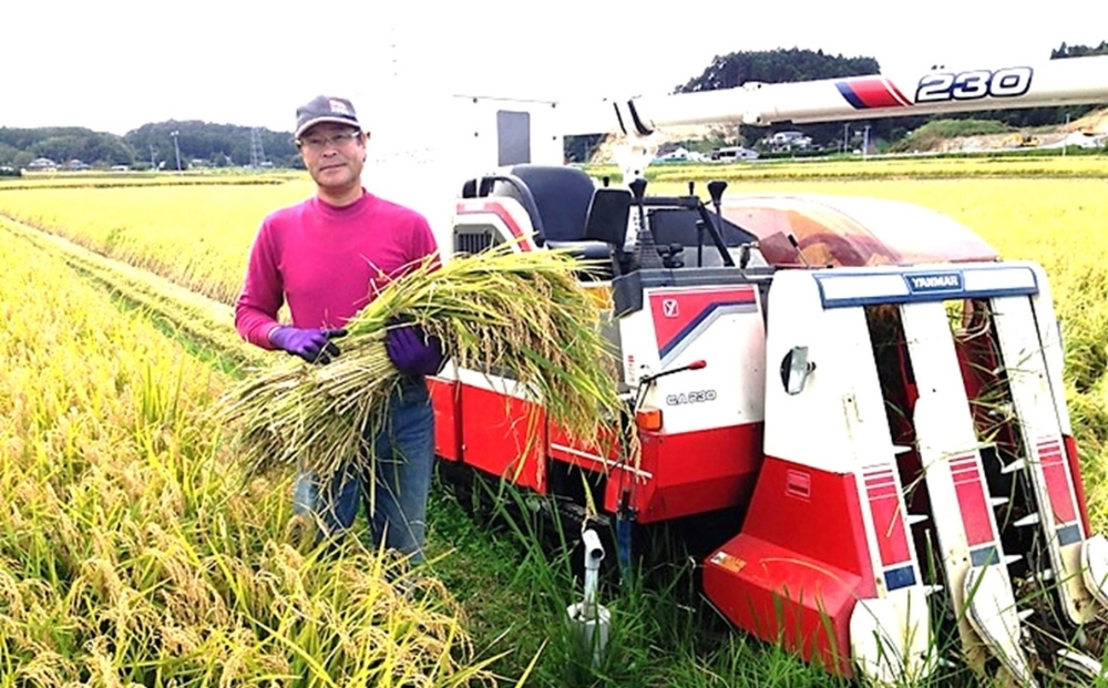 【 令和7年産】【数量限定】【新米】 つや姫 精米 5kg × 1袋 