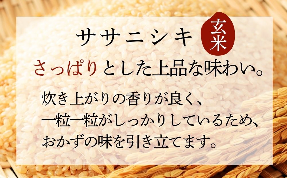 【 令和7年産】【新米】ササニシキ 玄米 20kg × 1袋 宮城県産