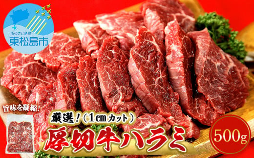 厳選 牛ハラミ 厚切り 500g 味付 急速 冷凍 1cmカット 牛肉 焼