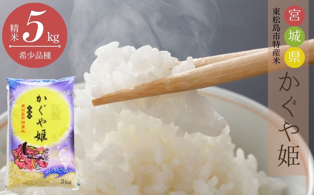 【令和6年産】 新米 12月上旬 発送開始 宮城県産 超稀少品種