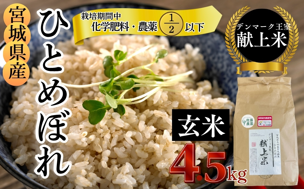 【令和7年産米先行予約】【栽培期間中化学肥料・農薬使用