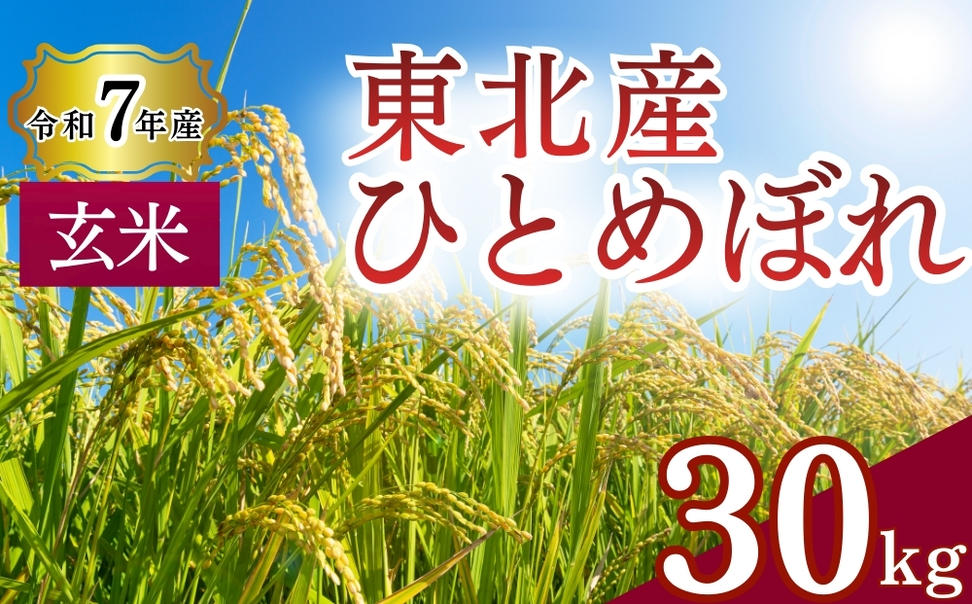 【 令和7年産】 ひとめぼれ 玄米 30kg × 1袋 単一原料米 ヒト