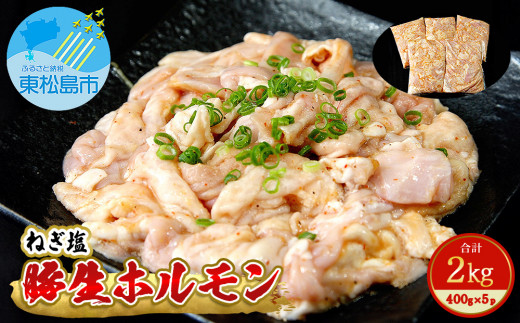 国産 豚 生ホルモン ねぎ塩味 2kg（400g×5パック） 冷凍 小分