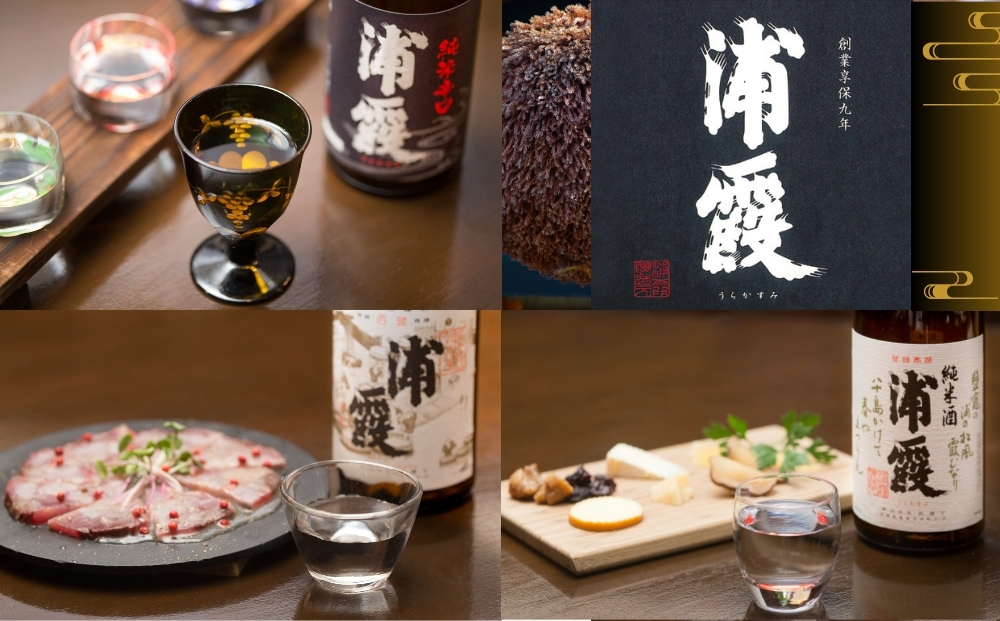 日本酒 浦霞飲み比べ 3本セット 宮城県 佐浦 四合瓶 720ml 純