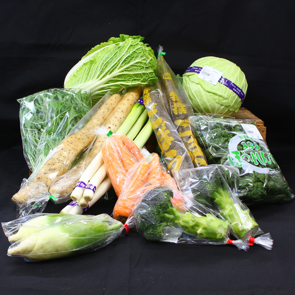新鮮! 季節の野菜 おまかせ 詰め合わせセット 宮城県 東松