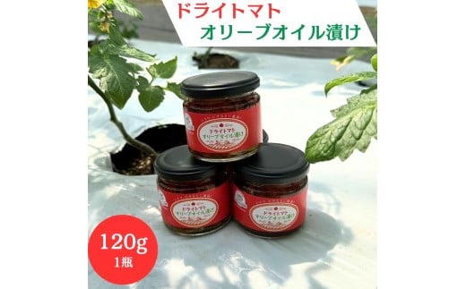 ドライトマト オリーブオイル 漬け 120g 瓶詰 つまみ お酒の