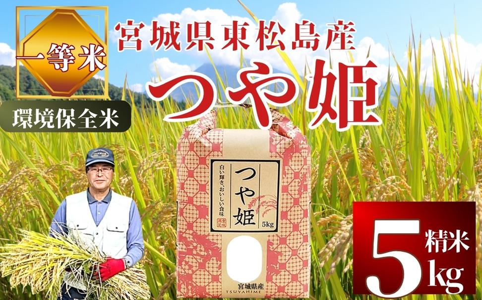【 令和7年産】【数量限定】【新米】 つや姫 精米 5kg × 1袋