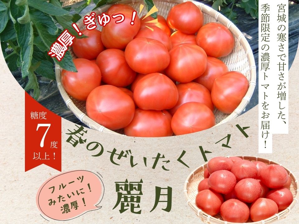 【糖度7度以上】麗月トマト 1kg｜冬期育ちの濃厚な甘み・産地直送の完熟トマト