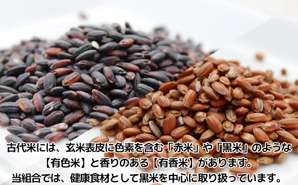 古代米（黒米・赤米）セット｜宮城県大崎市産｜たじり古代稲生産組合が育てた抗酸化力の高い健康米