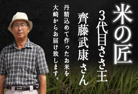 《精米》宮城県大崎市産 特別栽培米 ひとめぼれ10kg【2025年産】
