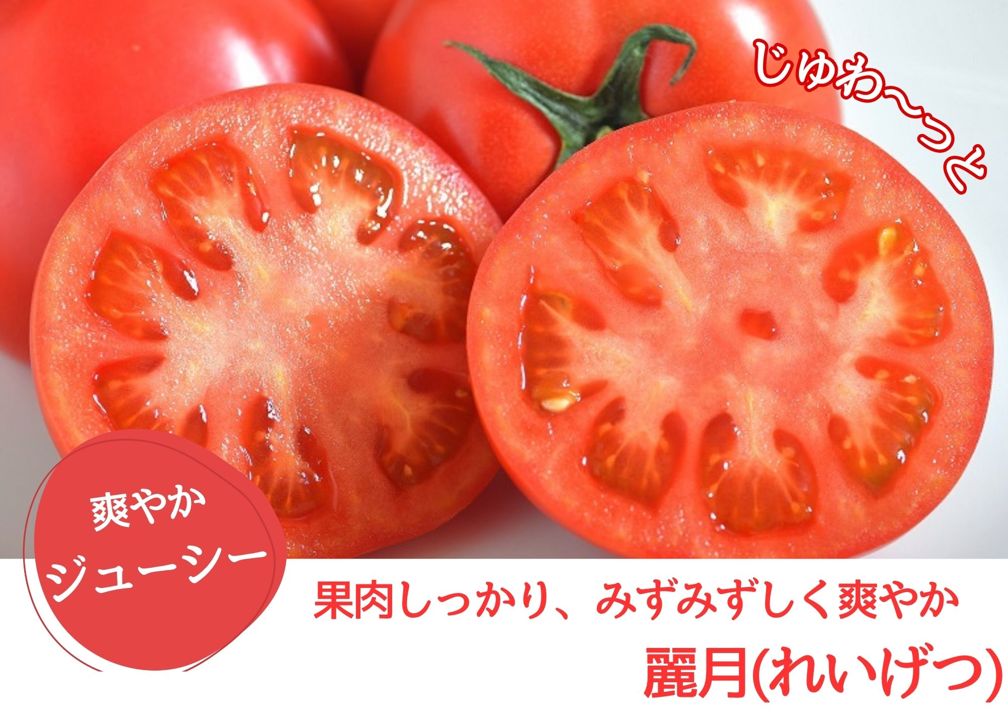 【糖度7度以上】麗月トマト 1kg｜冬期育ちの濃厚な甘み・産地直送の完熟トマト