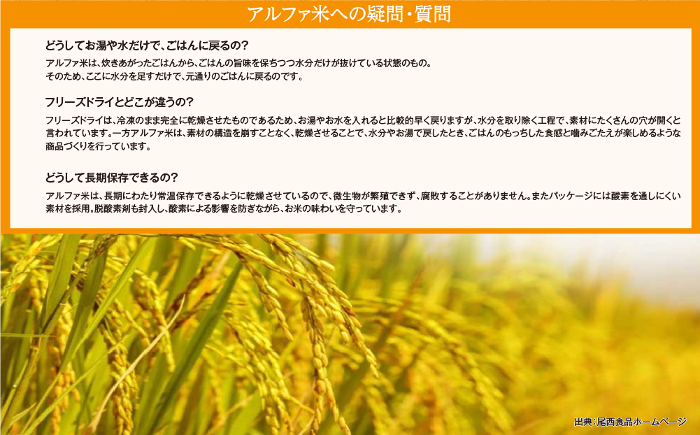 備えて安心、食べて満足｜尾西の携帯おにぎり 鮭【50個入り】（非常食・保存食・キャンプにも） 非常食 保存食 防災グッズ 防災 アルファ米 長期保存 おにぎり 尾西食品 キャンプ アウトドア 登山 ふるさと納税 非常食 送料無料