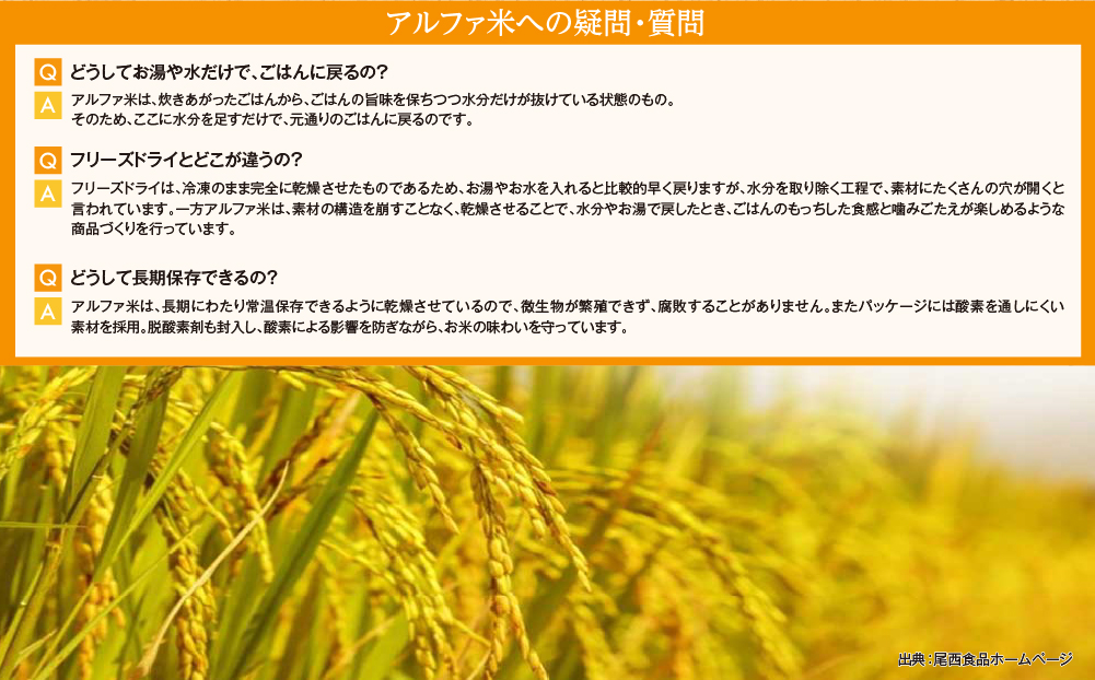 やさしい昆布の旨みで備える安心｜尾西の携帯おにぎり 昆布【50個入り】（非常食・保存食・アウトドアにも） 非常食 保存食 防災グッズ 防災 アルファ米 長期保存 おにぎり 尾西食品 キャンプ アウトドア 登山 ふるさと納税 非常食 送料無料