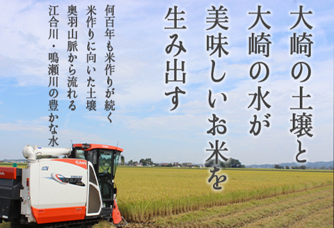 《精米》宮城県大崎市産 特別栽培米 ひとめぼれ10kg【2025年産】