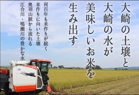 《精米》宮城県大崎市産 特別栽培米 ささ結10kg【2025年産】