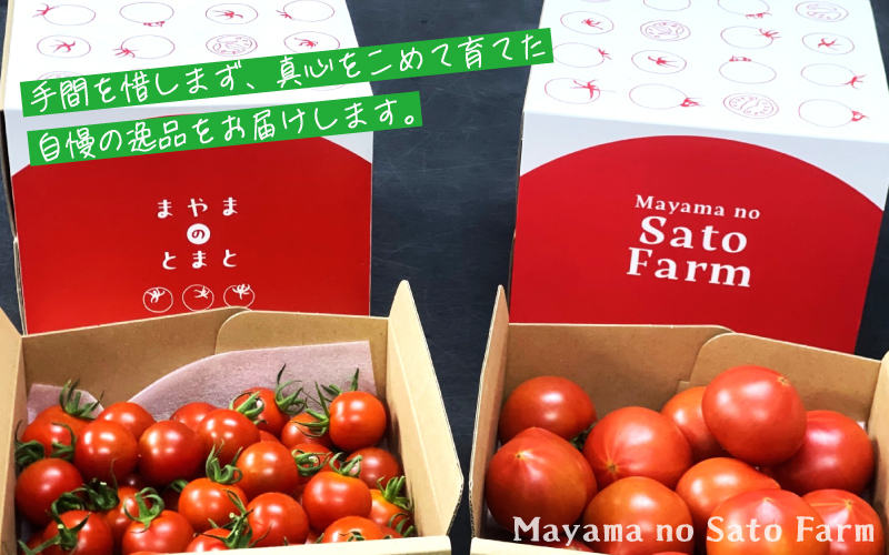 宮城県大崎市産｜まやまのニコニコフルーツトマト詰め合わせ 約1.5kg【第3回トマト選手権 最高金賞受賞】
