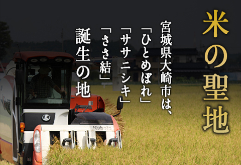 《精米》宮城県大崎市産 特別栽培米 ささ結10kg【2025年産】