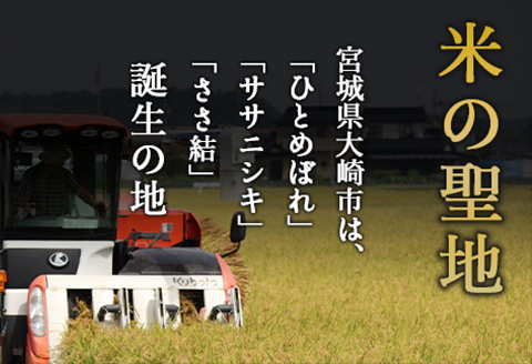 《精米》宮城県大崎市産 たきたて10kg【2025年産】