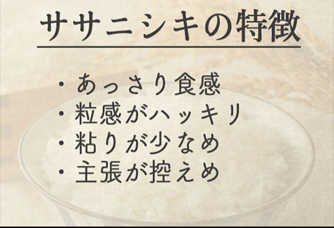 《精米》宮城県大崎市産 特別栽培米 ササニシキ10kg【2025年産】