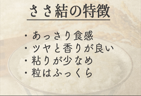 《精米》宮城県大崎市産 特別栽培米 ささ結10kg【2025年産】