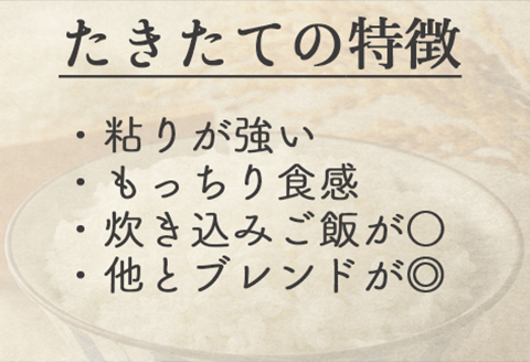《精米》宮城県大崎市産 たきたて10kg【2025年産】