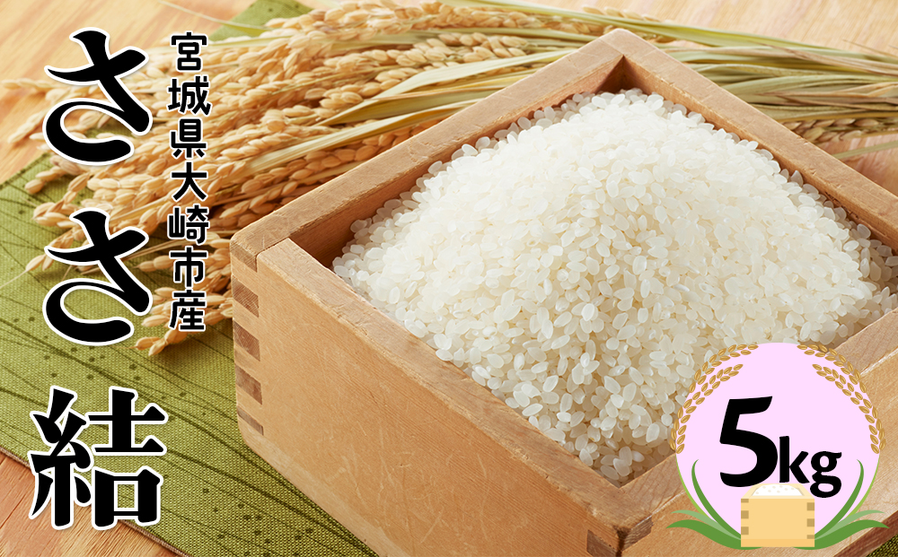 宮城県産ブランド米 令和7年産 ささ結 5kg｜炊きたてはもちろん冷めても美味しい白米