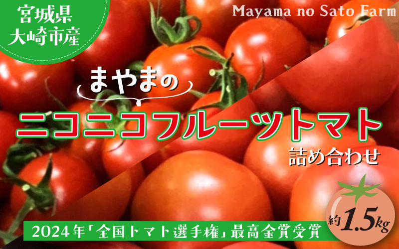 宮城県大崎市産｜まやまのニコニコフルーツトマト詰め合わせ 約1.5kg【第3回トマト選手権 最高金賞受賞】