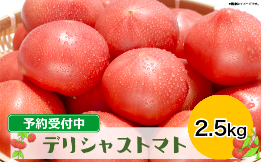 糖度7度以上の高級トマト｜ふるさと納税 デリシャストマト 2.5kg（予約受付中）