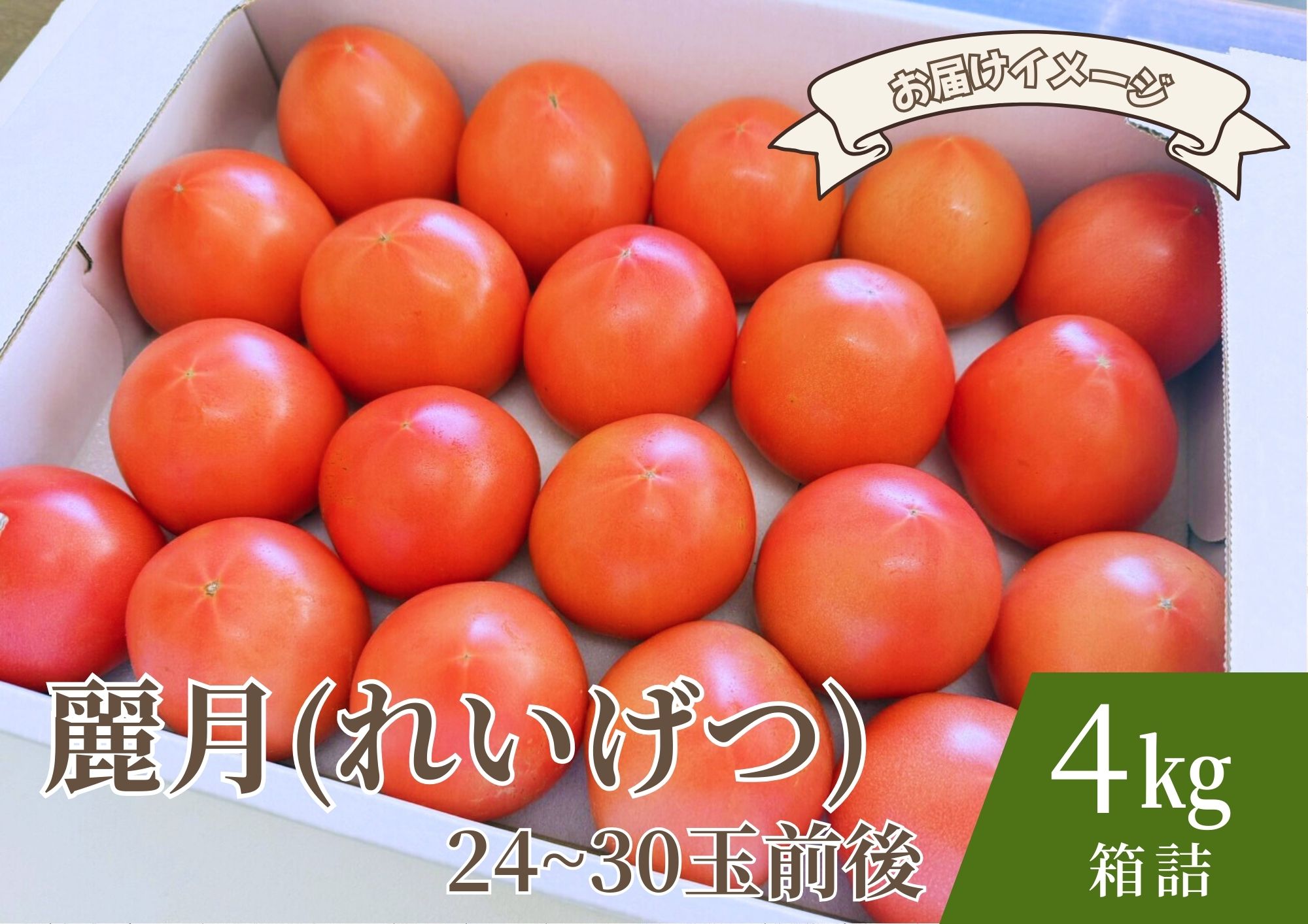 【糖度7度以上】麗月トマト 4kg｜冬期育ちの濃厚な甘み・産地直送の完熟トマト
