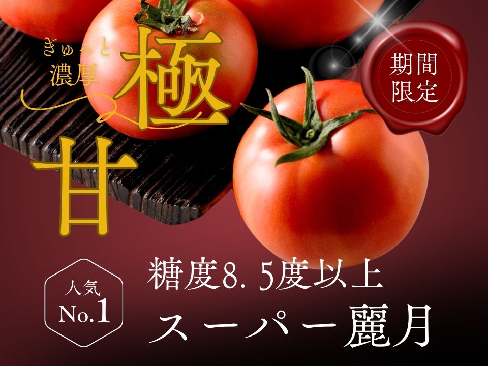 【糖度8.5度以上】スーパー麗月トマト 3kg｜冬期育ちの濃厚な甘み・産地直送の完熟トマト