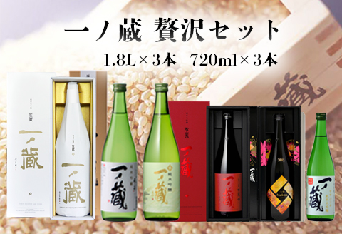 一ノ蔵贅沢セット