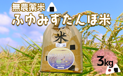 宮城県産 無農薬白米「ふゆみずたんぼ米」3kg｜大崎市田尻のブランド米・ご飯に最適【精米済・送料無料】